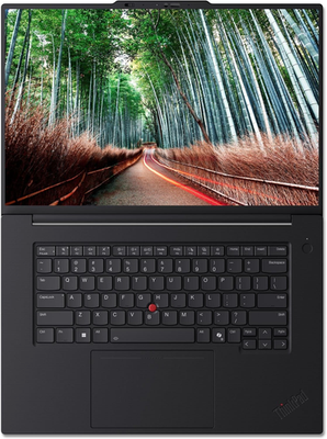 Lenovo ThinkPad T1g Gen 8 16