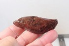Woodward Ranch Plume 5.5 oz. Agate lapidary faced rough lot Ja4 — photo 8