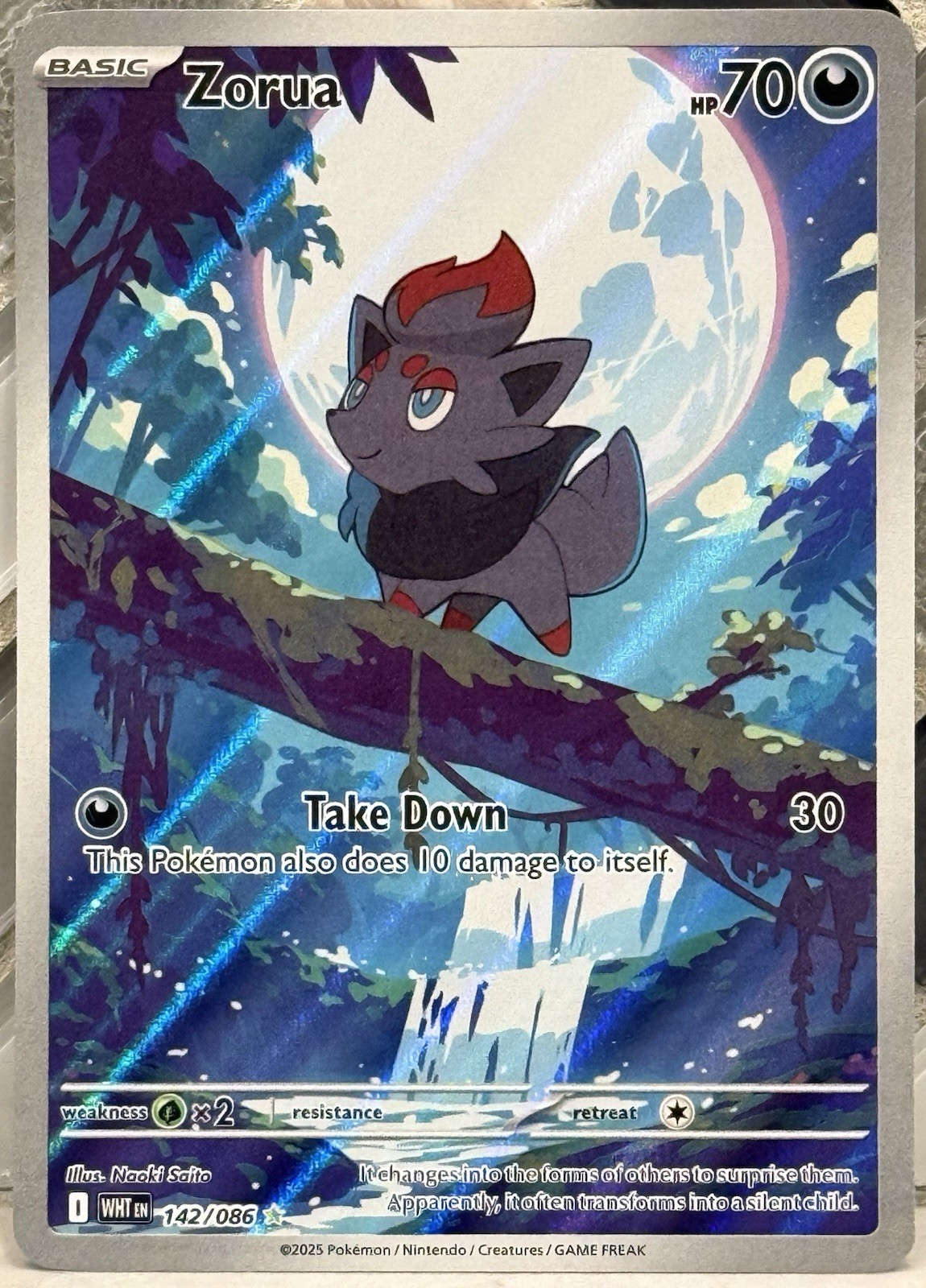 Zorua Illustration Rare 142/086 SV: White Flare NM/M 2025 Pokemon TCG