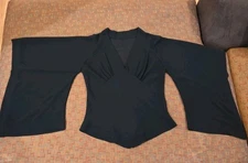 Women's Solid Black Sheer Pleated V-Neck  Long-sleeve Blouse Solid Panel Large 