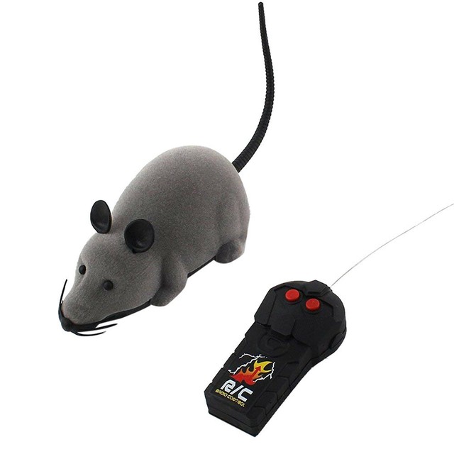 remote control mouse cat toy australia