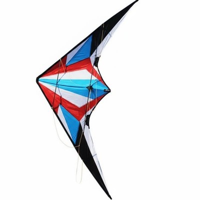 Akrobatischer Drachen Zweileiner Control Resin Rahmen Starkwind für Strand