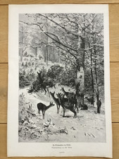 Weihnachten alter Druck antik Wald Rehe Jagd Christian Kröner Jagdmalerei