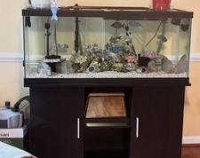 75-gallon GLASS Aquarium - Small Pet / Reptile / Fish Tank - and black stand