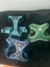Lot of 3 Pet Collars XS Boston Celtics, Blue Pet Attire & Teal Rabbitgoo 