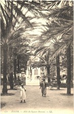 Algiers Algeria Alley of Square Bresson Beautiful Trees Vintage Postcard