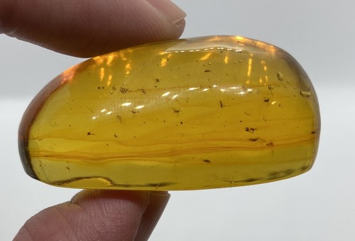 Nice 16 gram fossil amber with multiple insects - Dominican Republic - Picture 4 of 8