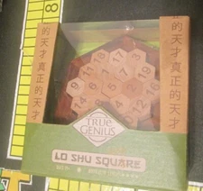 Lo Shu Square by True Genius (2016)