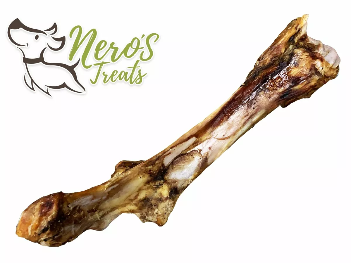 Big Dog Bones Large T Rex Beef Bones 14 17 2 Huge Bones