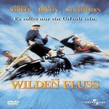 Am wilden Fluß von Curtis Hanson | DVD | Zustand sehr gut