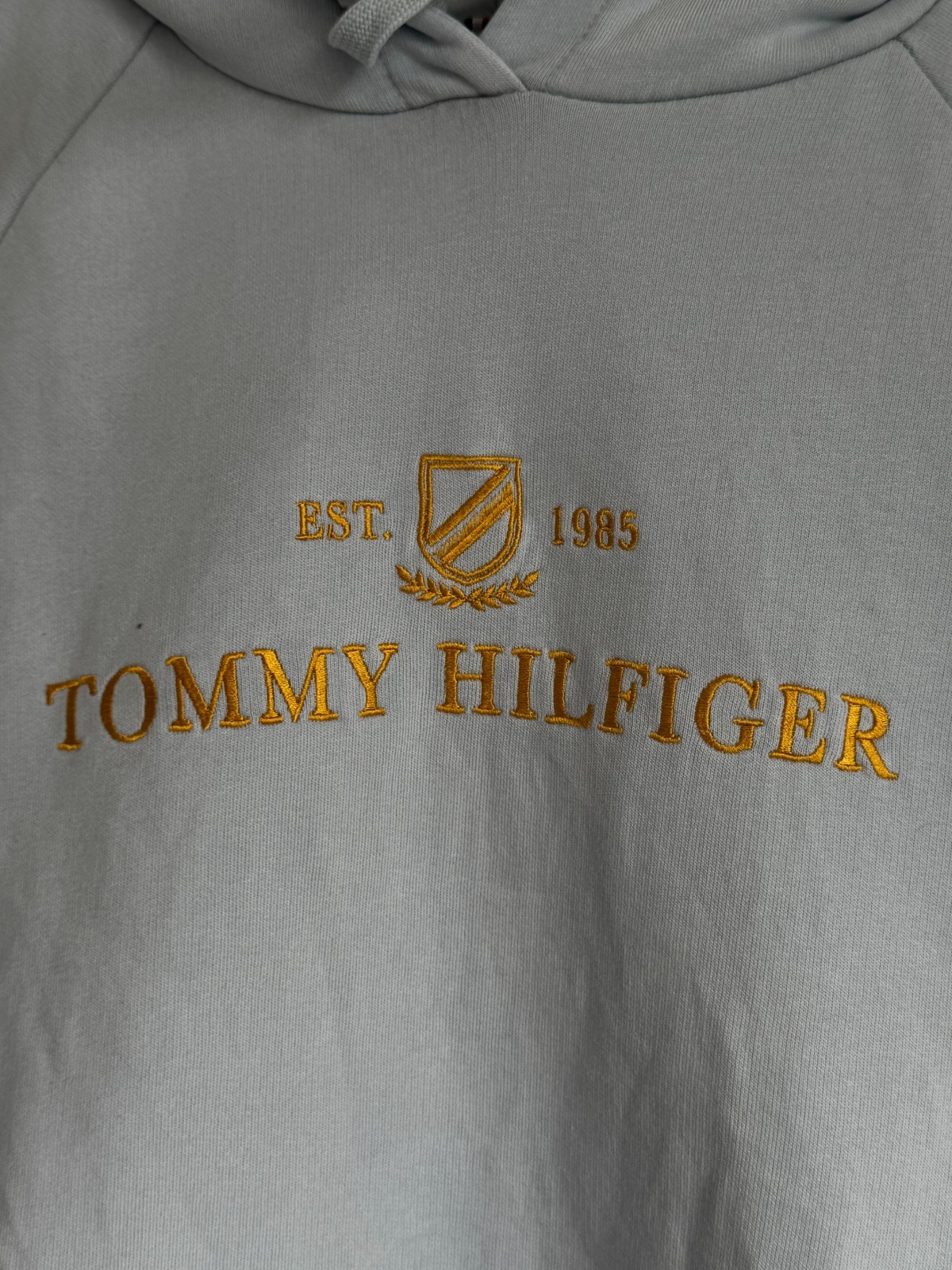 Tommy Hilfiger Heritage Logo Hoodie - Sky Blue image 7