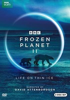 Dvd - Frozen Planet Ii - Dvd - G3Z