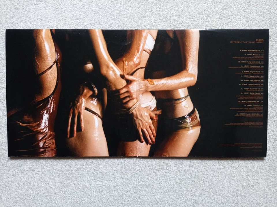 2XM45T+2XLP 33T TOSCA "Different Tastes Of Honey" G-stone 018 12" AUTRICHE 2002° - Photo 2/4