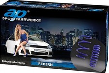 ap Federn f�r BMW Z4; E89 (Z89) Roadster BJ. 04/09-