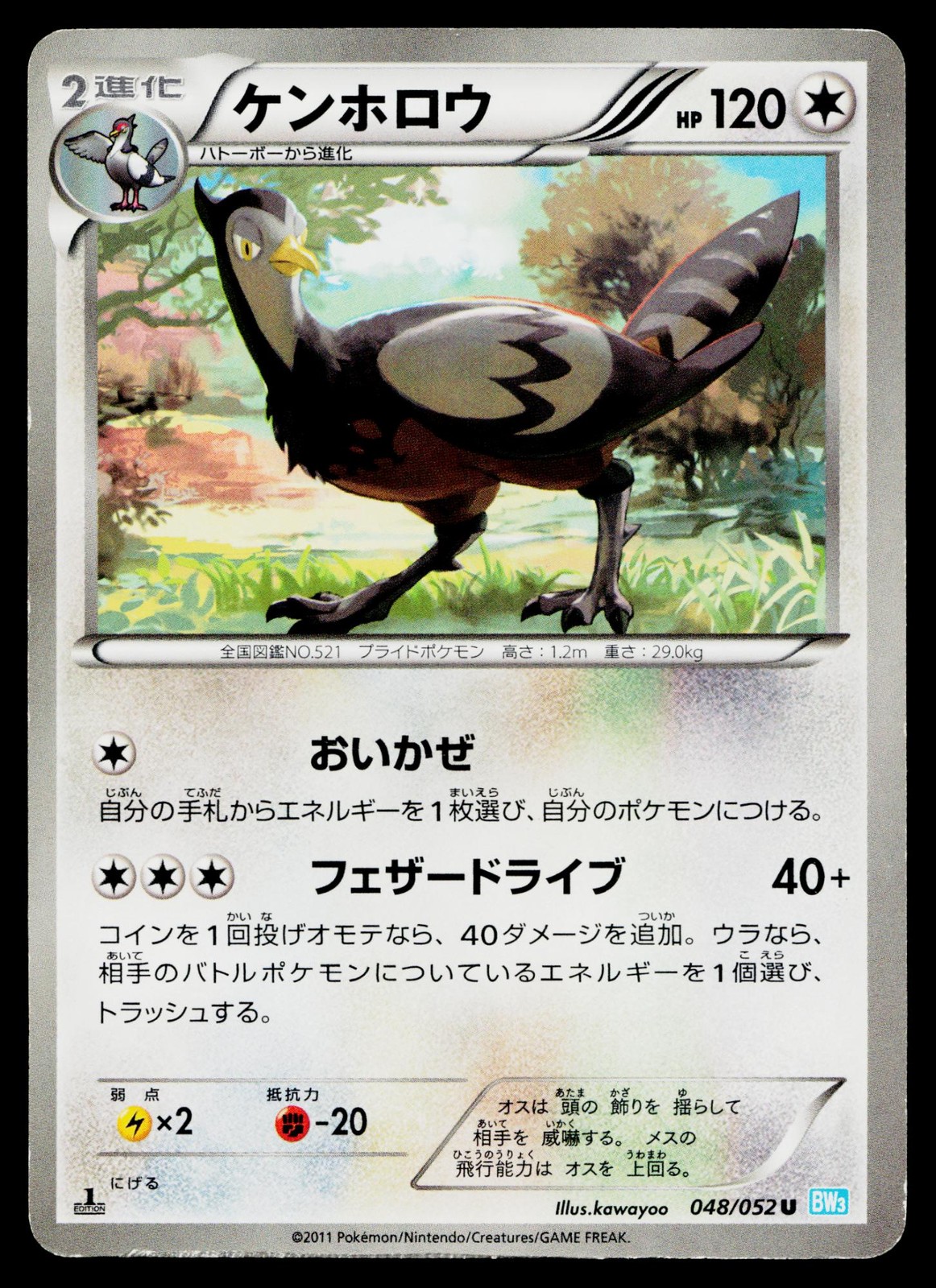 Unfezant 048/052 1st Edition Uncommon Hail Blizzard Pokemon Japanese MP