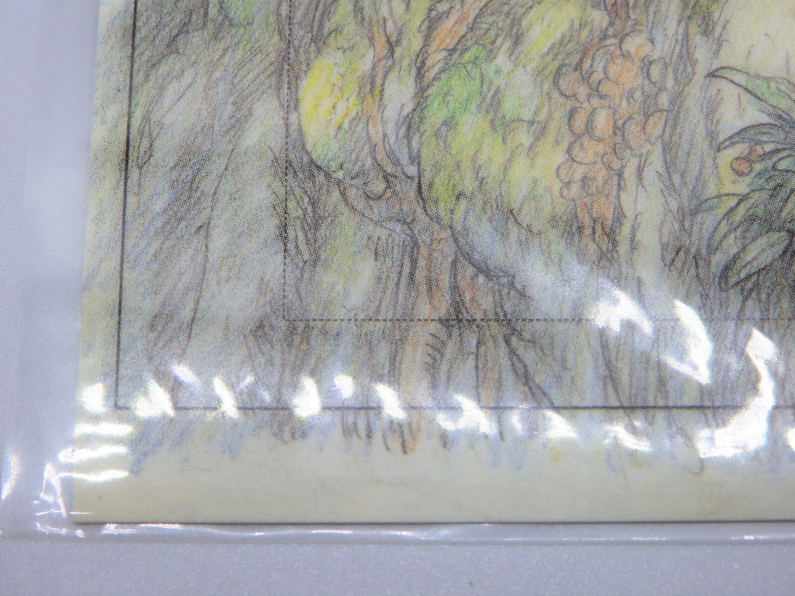 Picture 13 of 14
