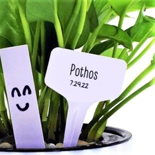 White T-Shaped Plant Labels |Garden Row Marker Seed Stake Food Tag Reusable 2025