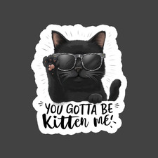 Cat Sticker Vinyl Decal You Gotta Be Kitten Me Funny Cute Kitty Meme