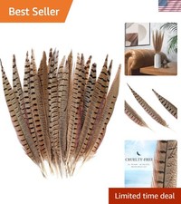 Elegant 20pcs 12-14  Male Pheasant Feathers for Jewelry  Celebration Crafts