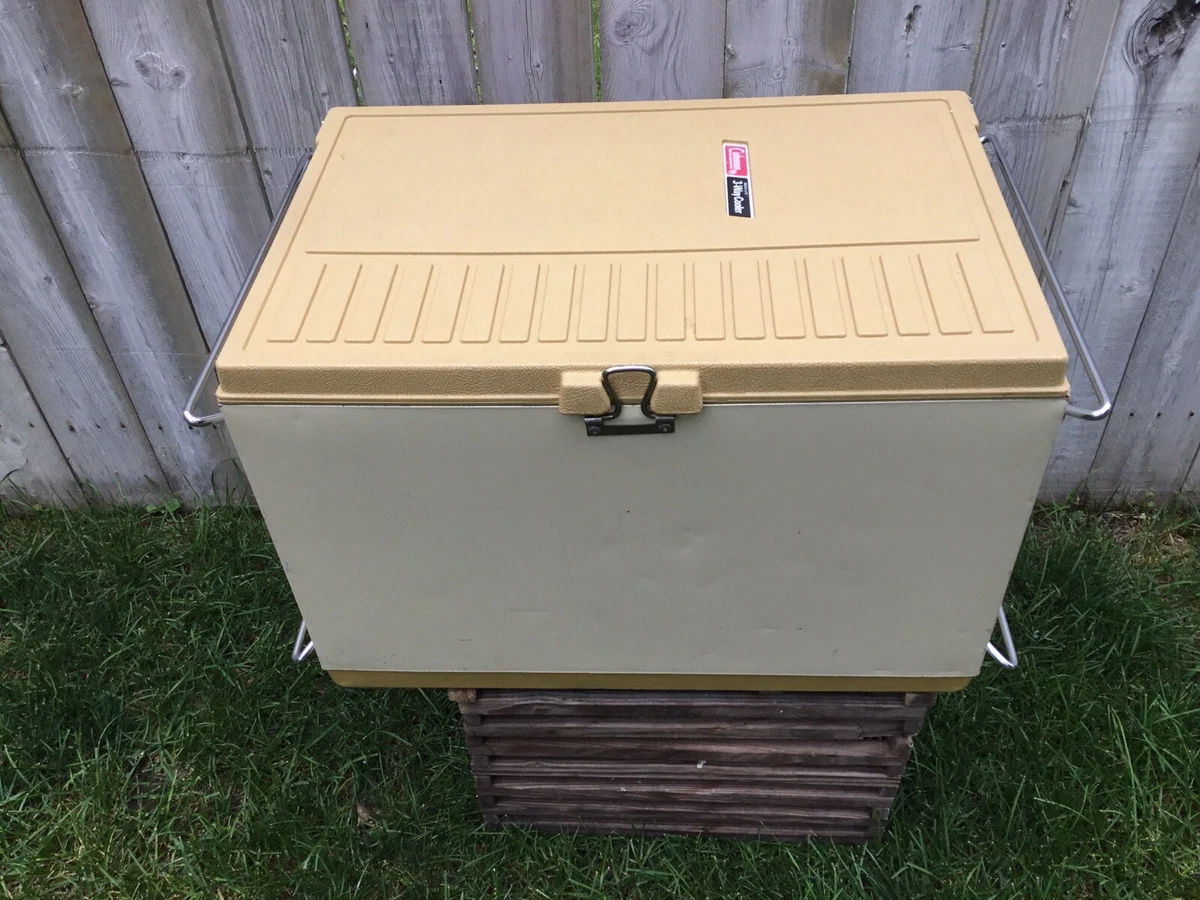 Upright sales ice cooler