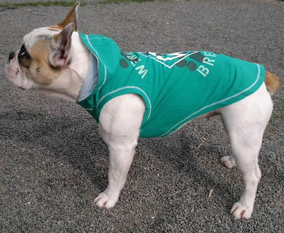 SV Werder Bremen Hundeshirt Trikot mit Kapuze Gr. S