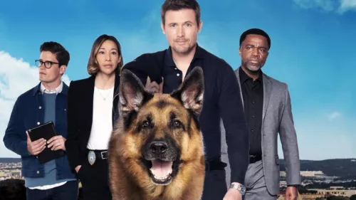 Hudson & Rex - Complete Series - 第 2 张/共 15 张