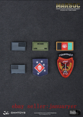 Perfect Damtoys 78006 1/6 Marsoc Special Ops Team Leader Action