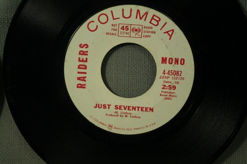 lot 2 45 records Raiders Just Seventeen The Clancey Brothers Tommy Makem promo - Picture 2 of 3