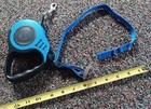 Small dog collar and leash — photo 1