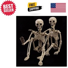 Realistic 40" Halloween Skeletons - Poseable Decoration for Outdoor Fun