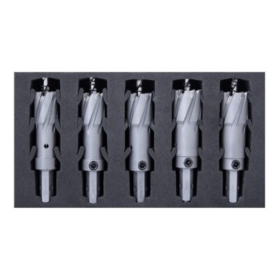HMT VersaDrive TCT Lochschneidereinlage Schaumstoff Set: 5 Stück 14 - 22 mm - 101030-SET2