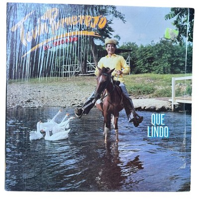 Tavín PUMAREJO - Que Lindo (VG+/VG) 1987 Vinyl Record LP Puerto Rico Jibaro