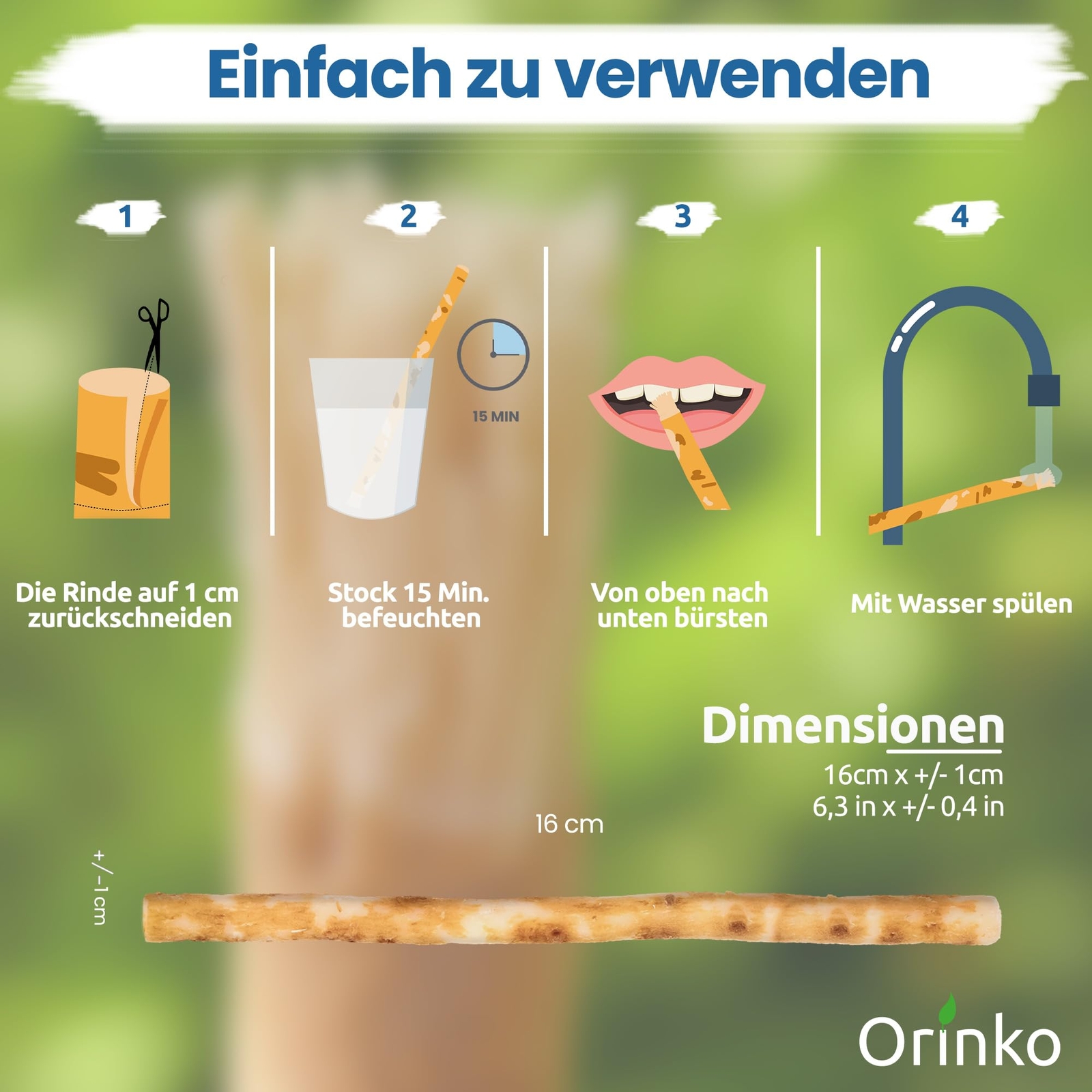 Bild 4 von 6