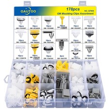 OAUTOO 178pcs Body Side  Exterior Trim Rocker Molding Clips Assortment for GM B