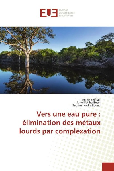 Vers Une Eau Pure : éLimination Des MéTaux Lourds Par Complexation Taschenbuch-image