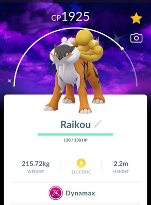 Shiny Dynamax Raikou Max Final Dark Skies Background - P T C 0r Trade