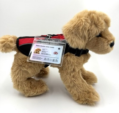 Douglas Bella Golden Retriever Plush Dog ESSA, Harness, Personalized ID Bundle