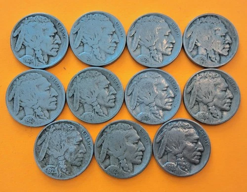 Buffalo Nickel Collection Lot 11 US Coins - 1925PS 1926PD 1927PS 1928PS 1929PDS
