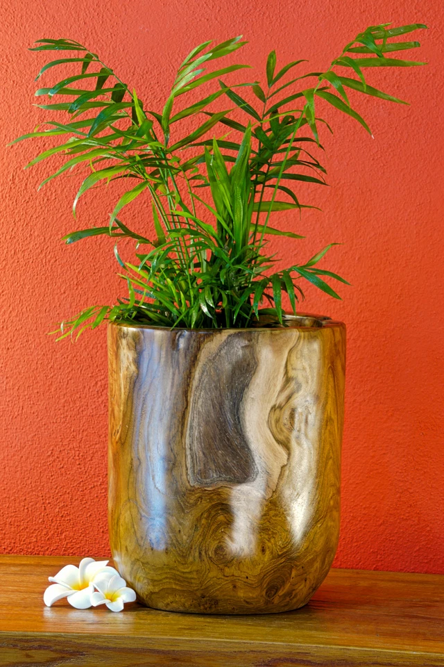 Übertopf Holz Massivholz Blumentopf Blumen Über Topf Teakholz Wurzelholz massiv - Bild 3 von 4