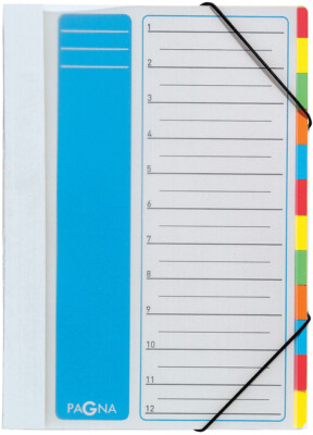 PAGNA Ordnungsmappe DESKORGANIZER Lucy Colors transparent 12-teilig DIN A4