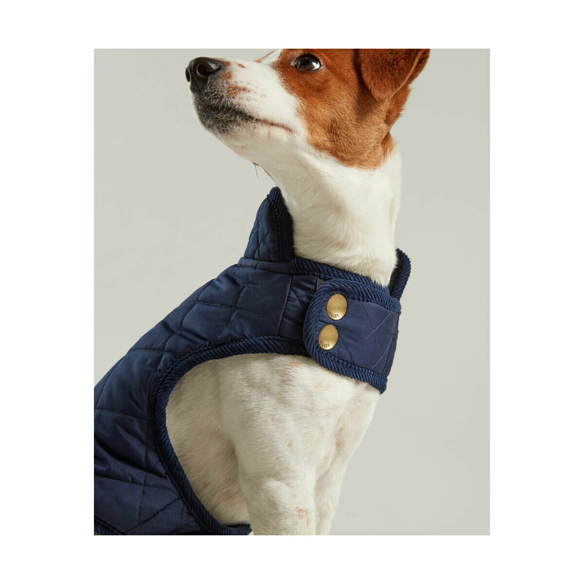 Joules Quilted Dog Coat - Raspberry or 