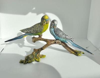 Two Parakeet Birds on Branch Bergman Austrian Vienna Bronze Parakeets  Lovebird