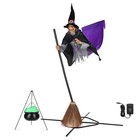 9 Ft Animated Flying Witch on Broom Witches Cauldron on Tripod LED Light — photo 8