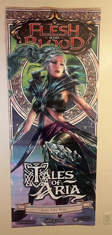 Flesh and Blood FAB- Vinyl Banner Promo Poster 31x78 Lexi, Live Wire