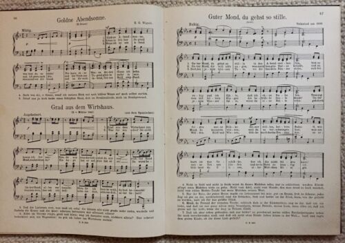 Liedertexte Das deutsche Volkslied, Band 1 u 2, Clemens Schmalstich, ca. 1920 - Bild 9 von 13