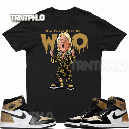 Ric Flair Drip T Shirt For Air Jordan 1 