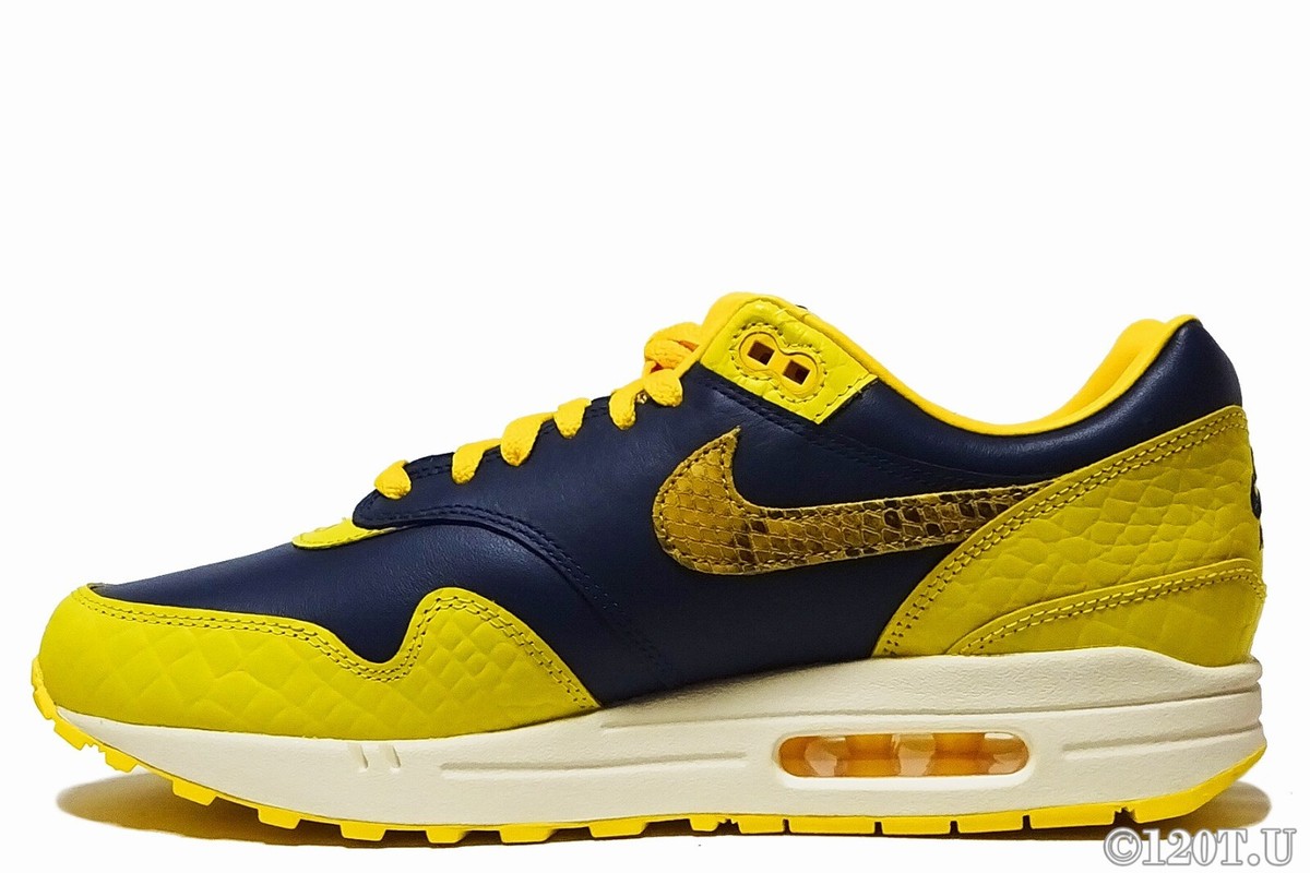 Size 10 Nike Air Max Premium Tournament Winners W for