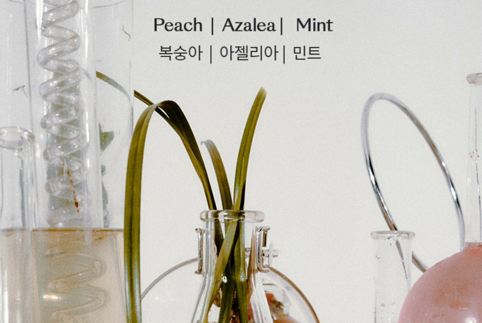 [Dr.Pauhls] Breath Spray 17ml / 270 times / 2 kinds types / portable in