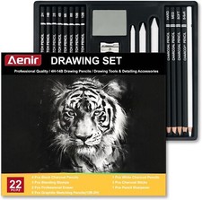 Charcoal Pencils for Drawing, Set of 22, Professional Drawing Sketch Pencils, Ar