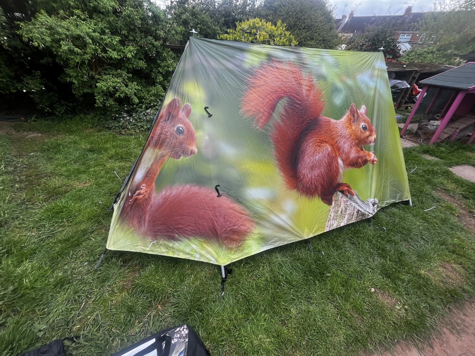 Field Candy Tent 2 berth Ultimate festival tent red squirrel and blue-tits